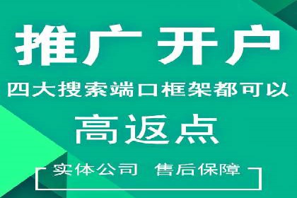 竞价推广策略：某电商平台的成功案例
