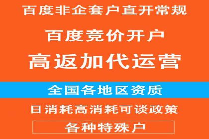 信息流优化师实战：助力品牌快速崛起